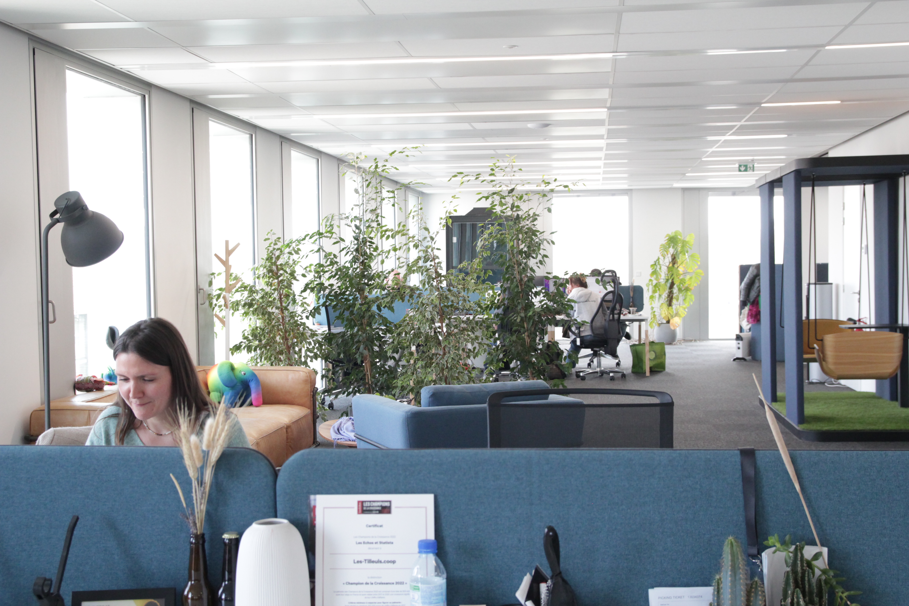 Les Tilleuls.coop ont poussé, soutenus tout au long de leur parcours par l'Union régionale des scops des H